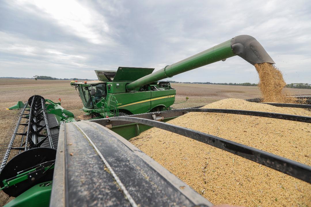 Iowa soybean farmer says Trump’s tariffs have hurt soybean prices