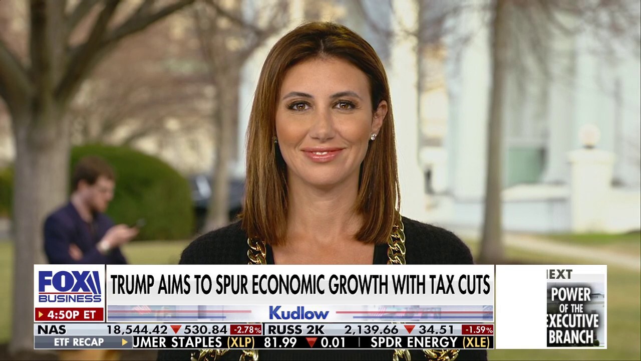 DOGE is cracking down on 'acronym mayhem' in DC: Alina Habba