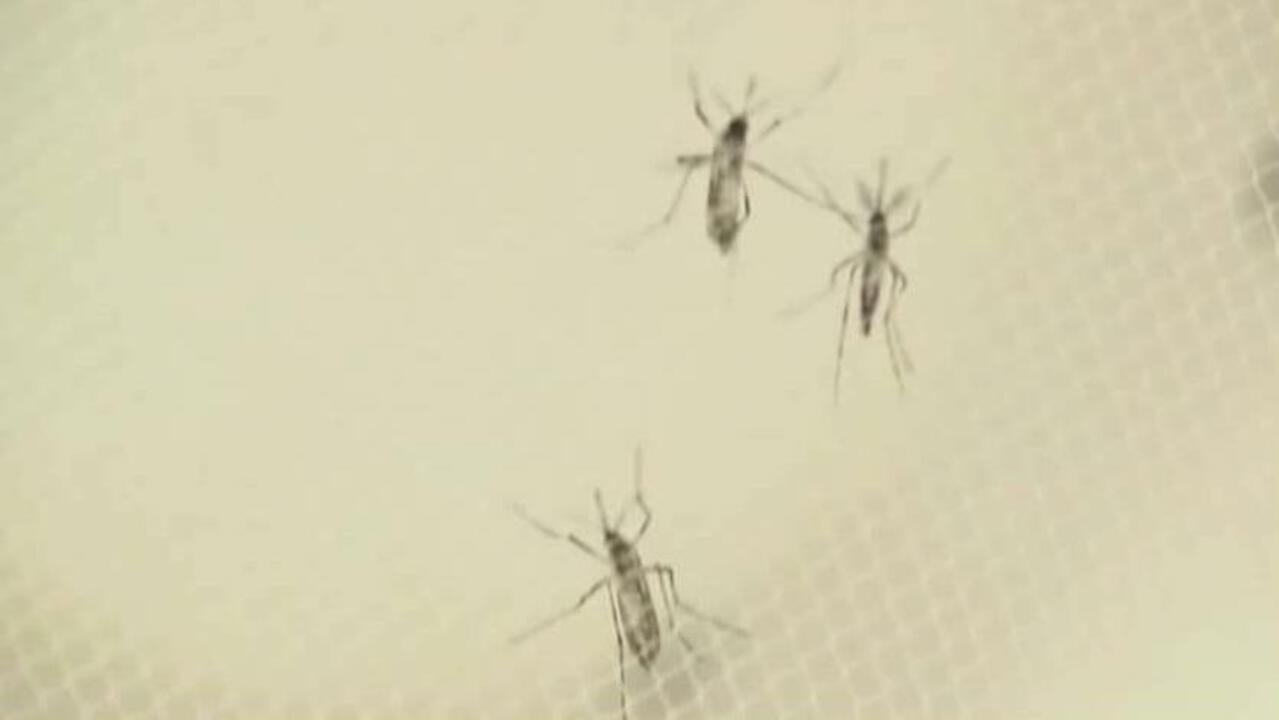 FDA fast tracks Zika test