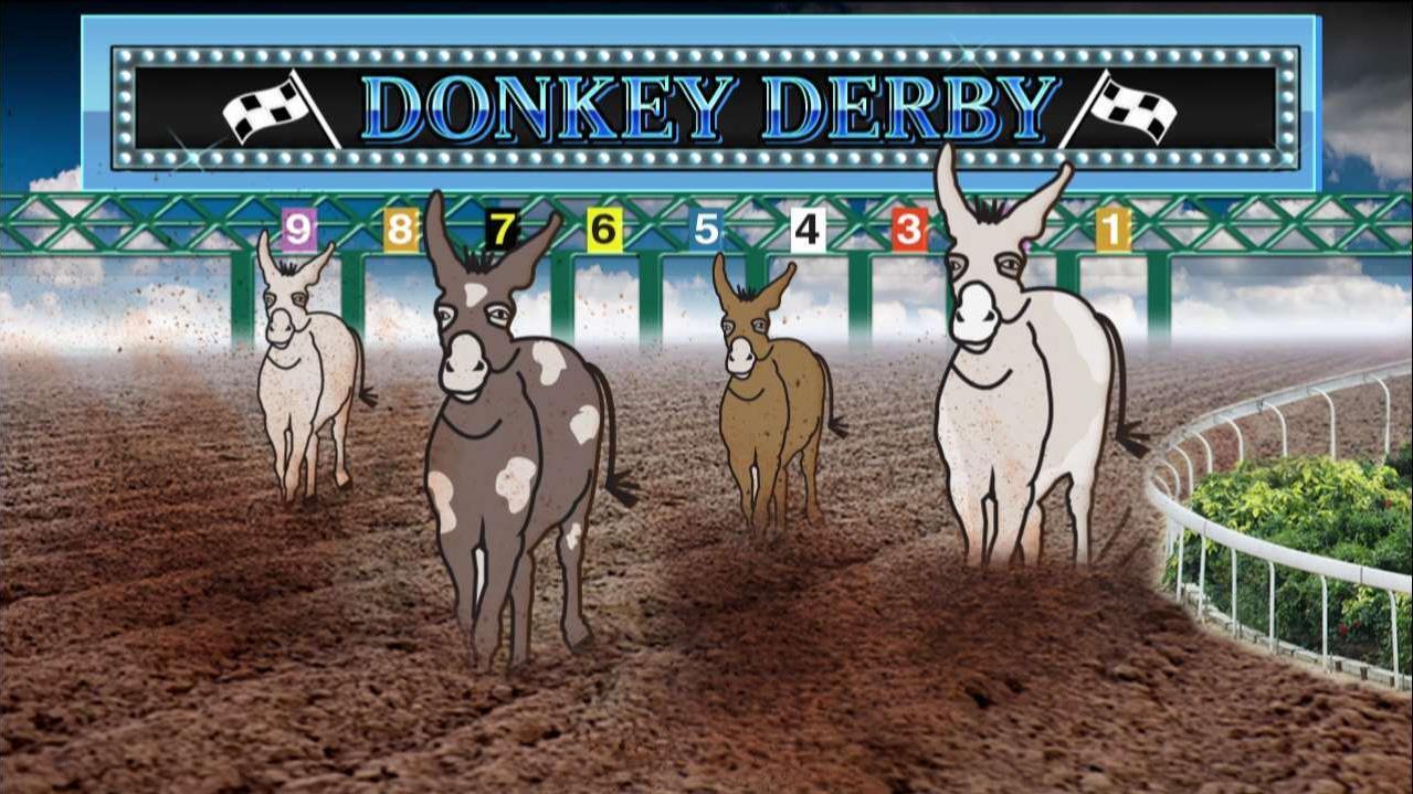Donkey Derby: How well do you know your Democratic presidential candidates