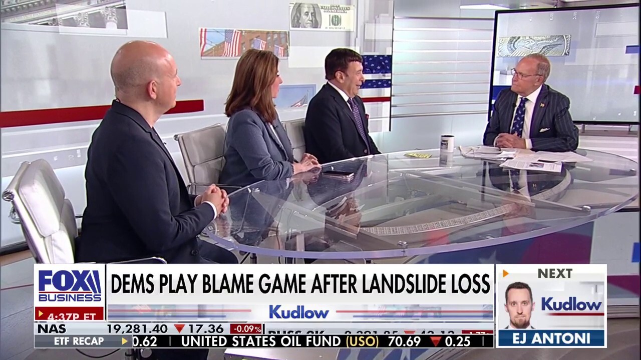 Democrats are in denial and blaming America, panelist says