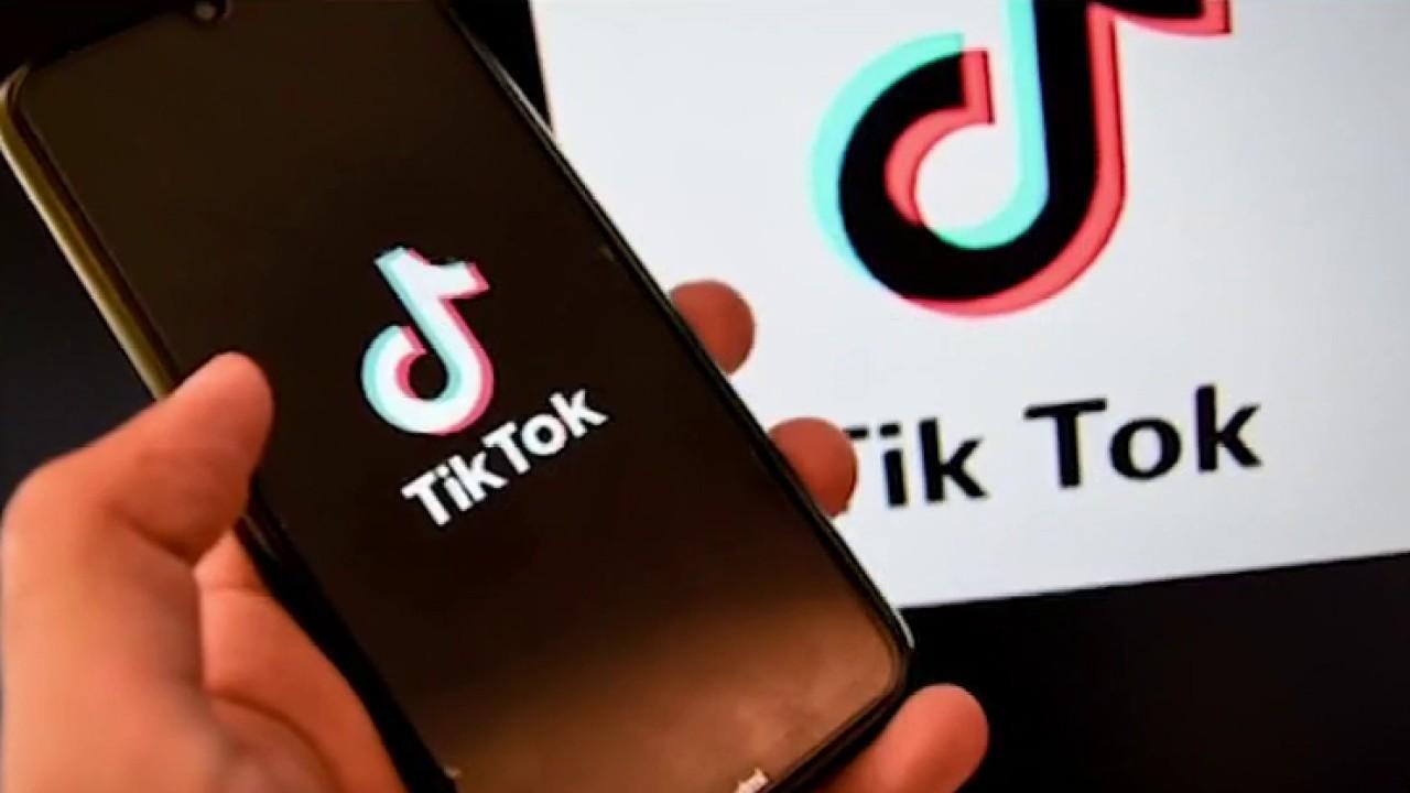 TikTok's data pickup from Americans is a 'massive tsunami': Peter Navarro
