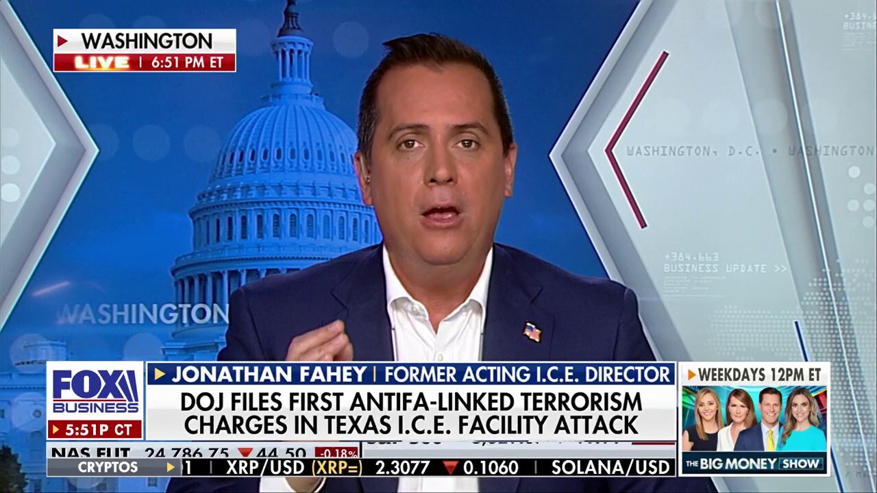 Dems would not 'deny' illegal immigrants a single benefit, argues former ICE official