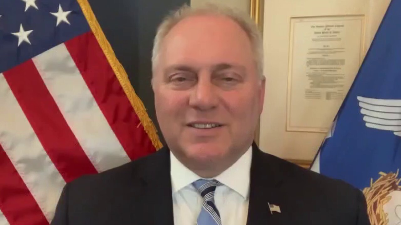 Scalise predicts GOP will win back House after 'radical' Pelosi-backed votes