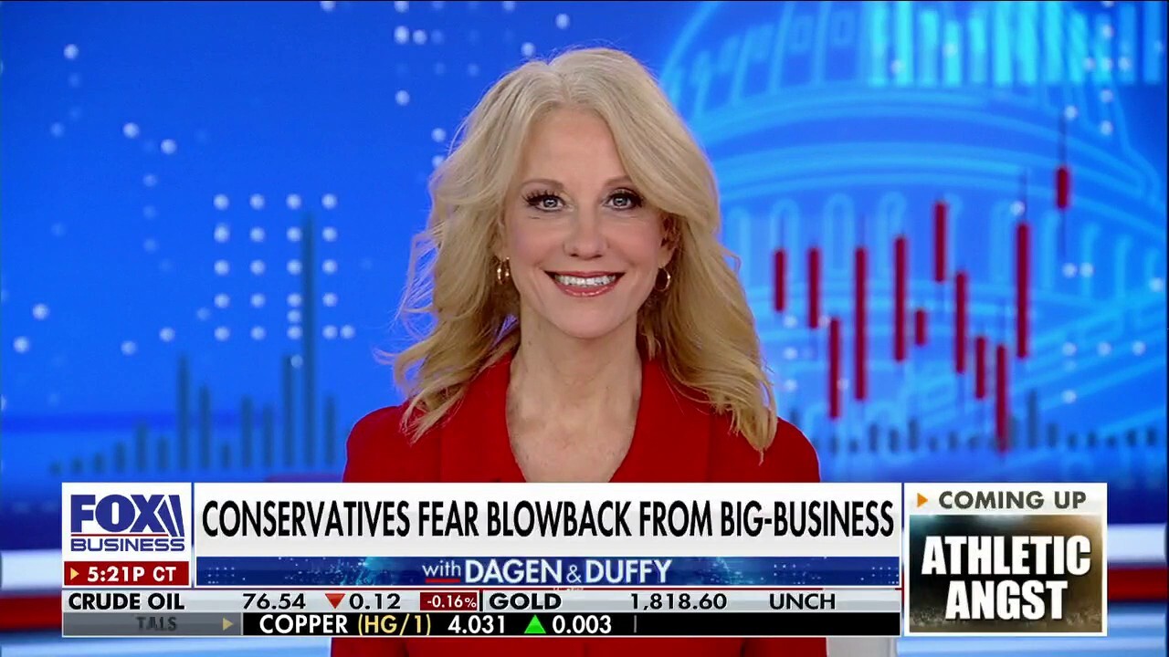 Former Trump campaign manager Kellyanne Conway discusses how major American businesses could target conservative consumers on ‘The Bottom Line.’