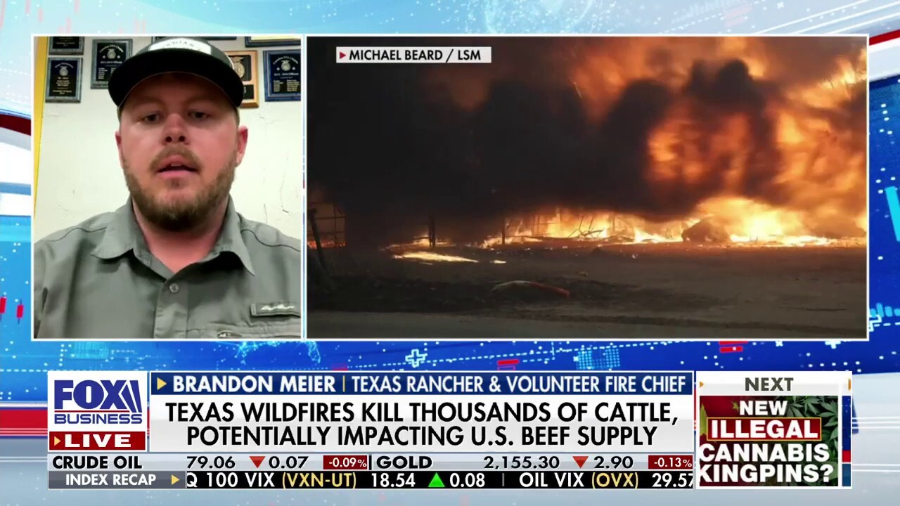 Hopefully this won’t have a ‘worldwide impact’ on the industry: Brandon Meier
