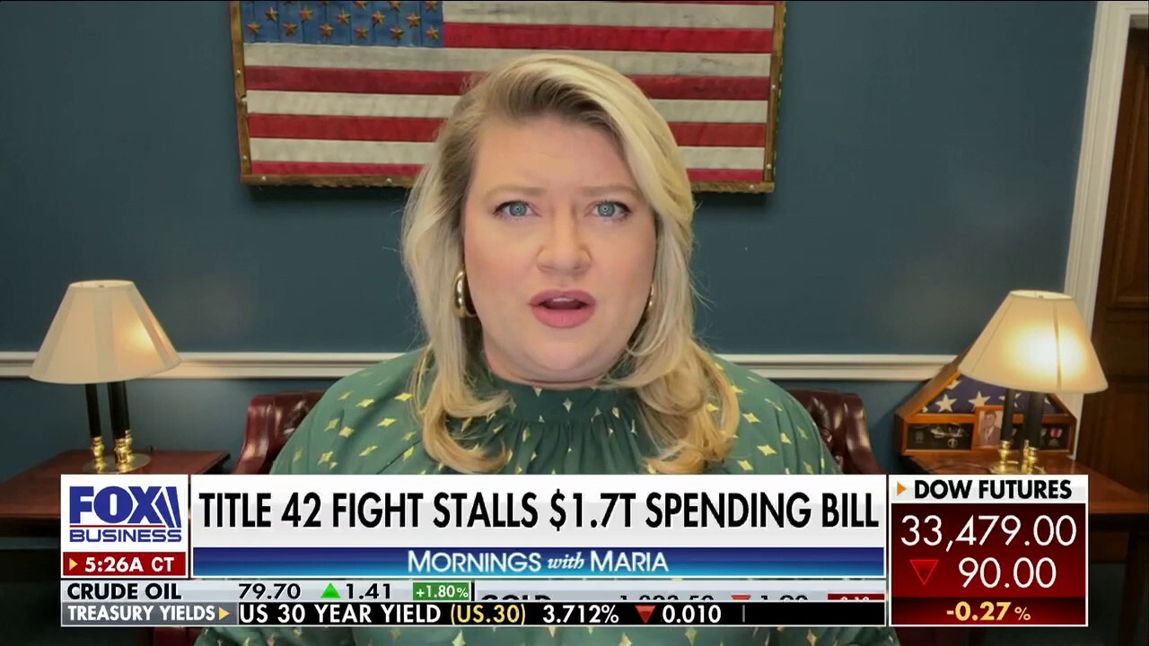 Democrats ‘will ultimately fail’ in passing omnibus over Title 41 amendment: Rep. Kat Cammack