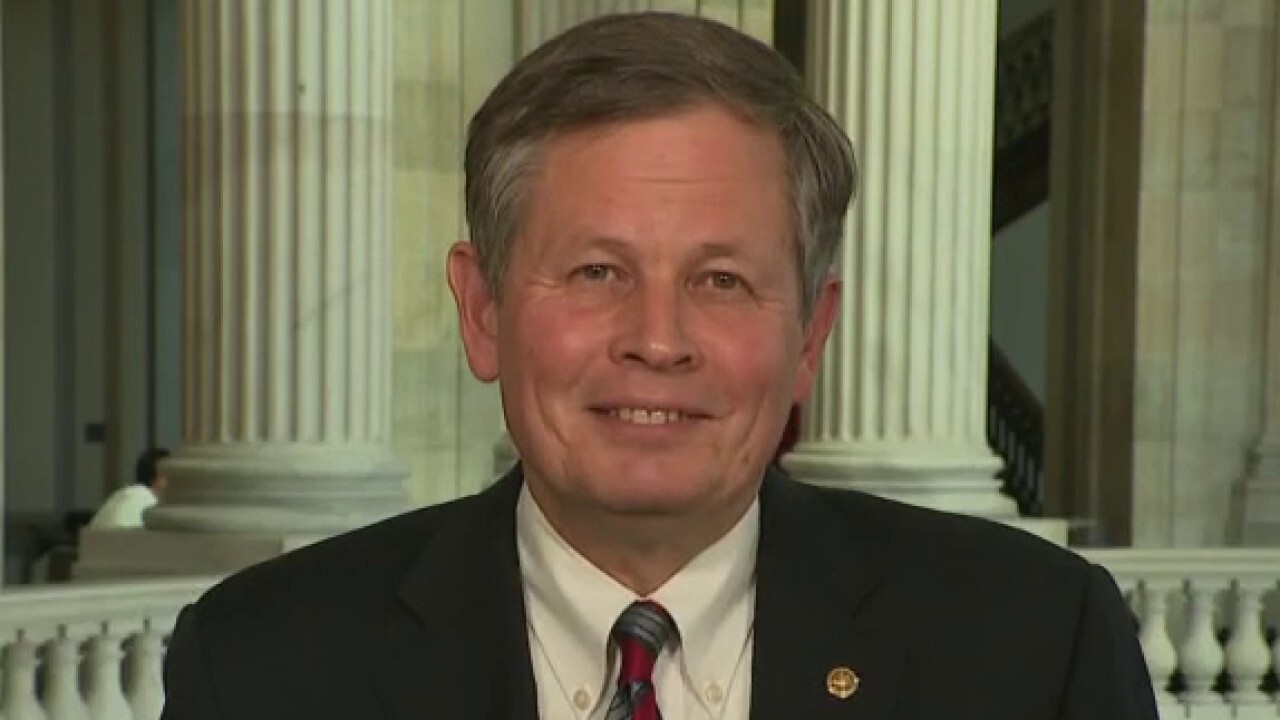 Steve Daines: This is one of the greatest cover-ups in history