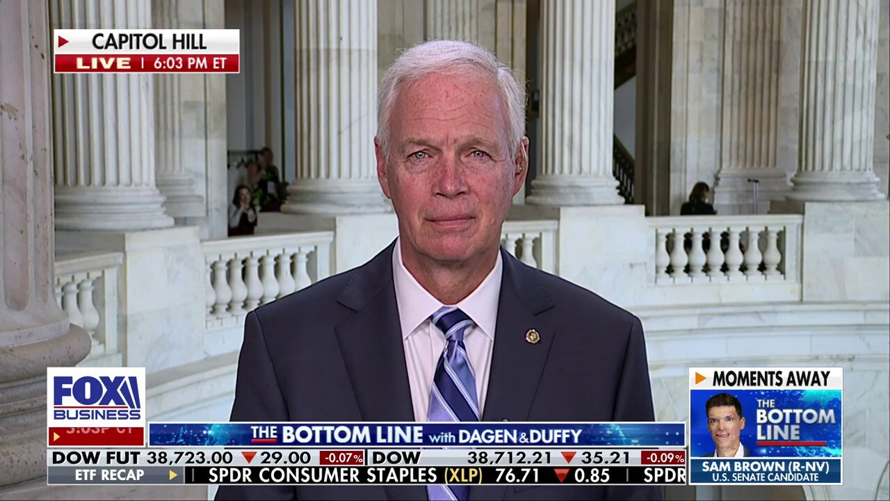 Democrats now represent the elite: Sen. Ron Johnson