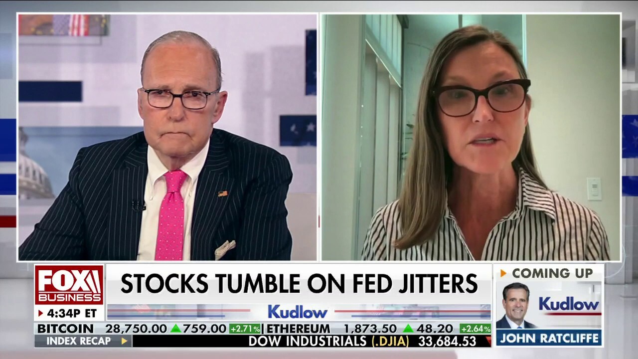 Ark Invest CEO Cathie Wood gives an economic outlook ahead of the Federal Reserve's expected rate hike on 'Kudlow.'