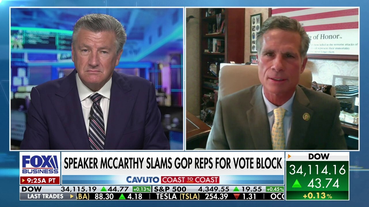 GOP will surrender control to Democrats, Senate if 'we don't come to our senses': Rep. Dan Meuser