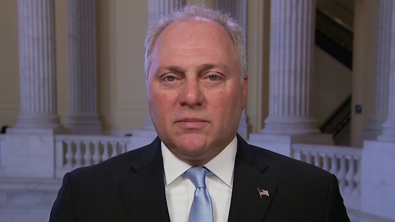 GOP not ‘waiting around’ for Dems to investigate COVID origin: Rep. Scalise 