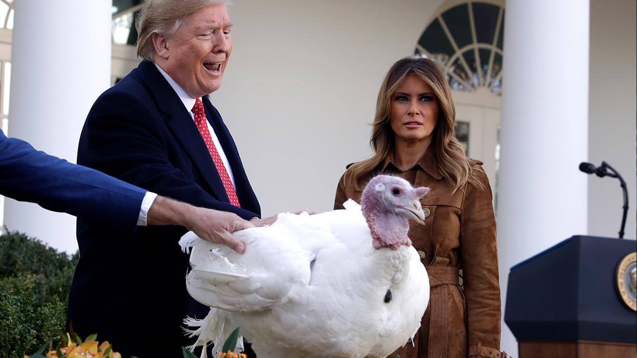 Trump pardons turkeys at the White House