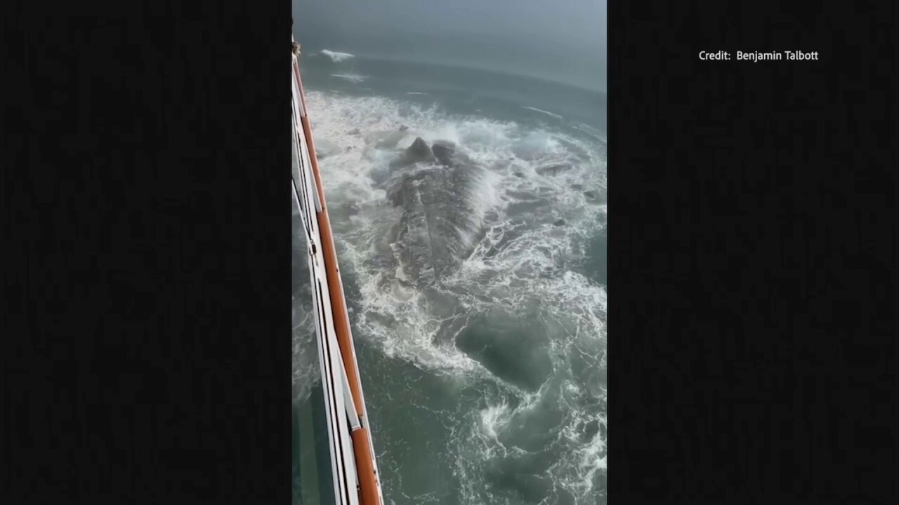 Viral video shows moment when ship hits Alaska iceberg (Credit: Benjamin Talbott)