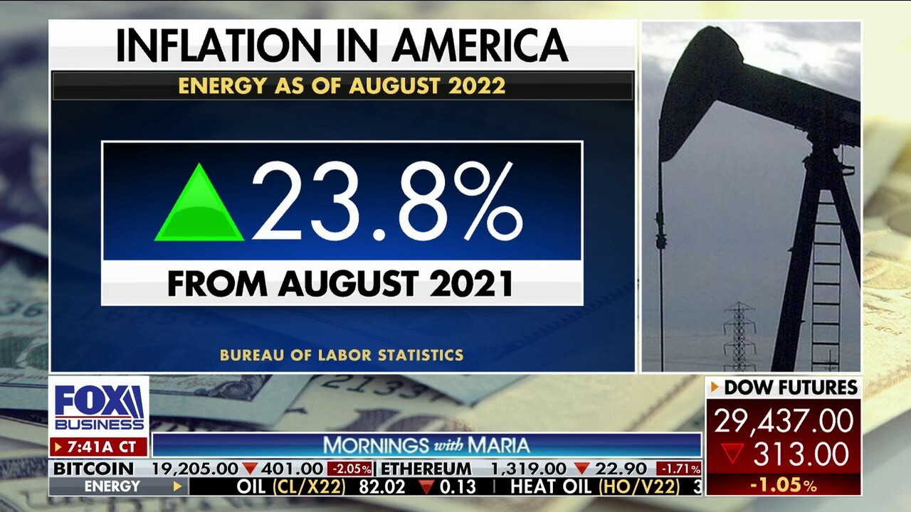 Rep. Darrell Issa, R-Calif., weighs in on how the Biden administration’s policies are contributing to America’s expanding inflation problem on ‘Mornings with Maria.’  