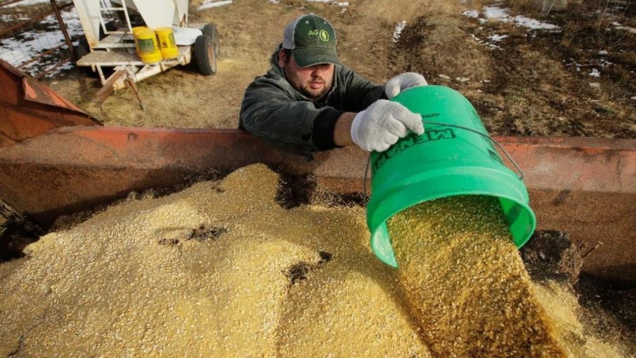 Farmers will reward Trump for conducive business climate: Iowa Agriculture Secretary 