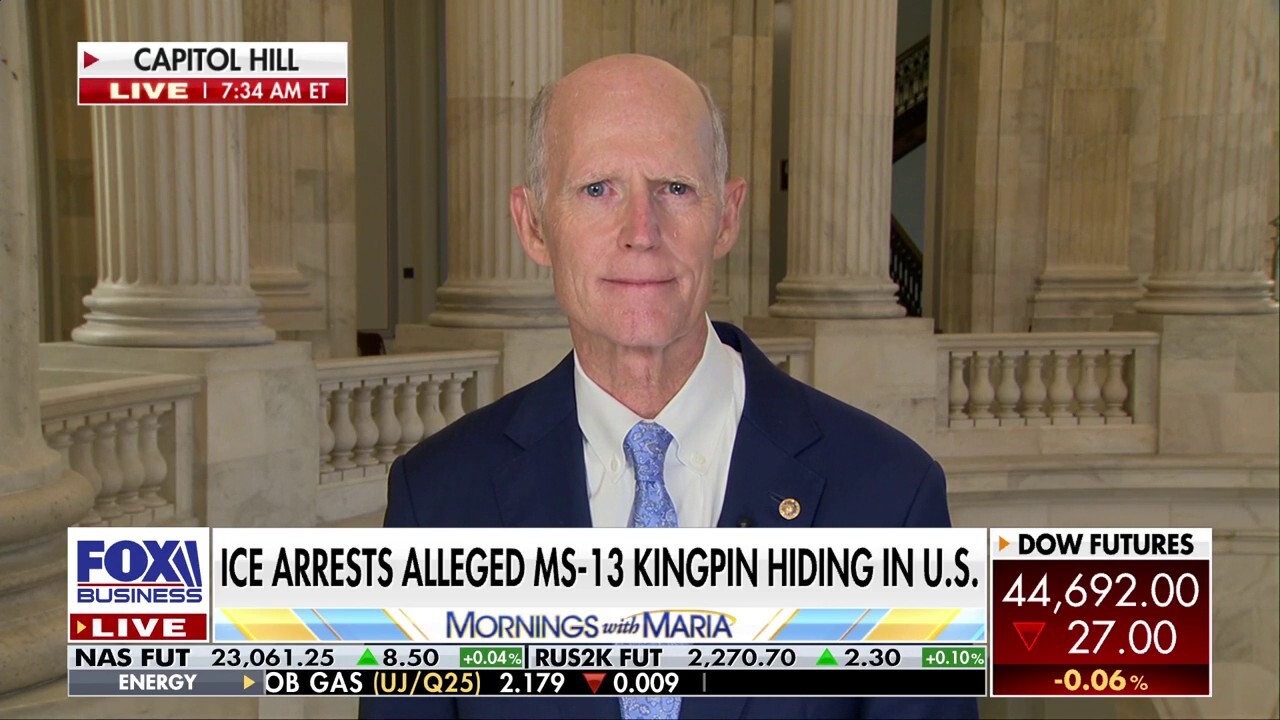 GOP senator rips Dems backing sanctuary policies: 'They have lost their minds!'