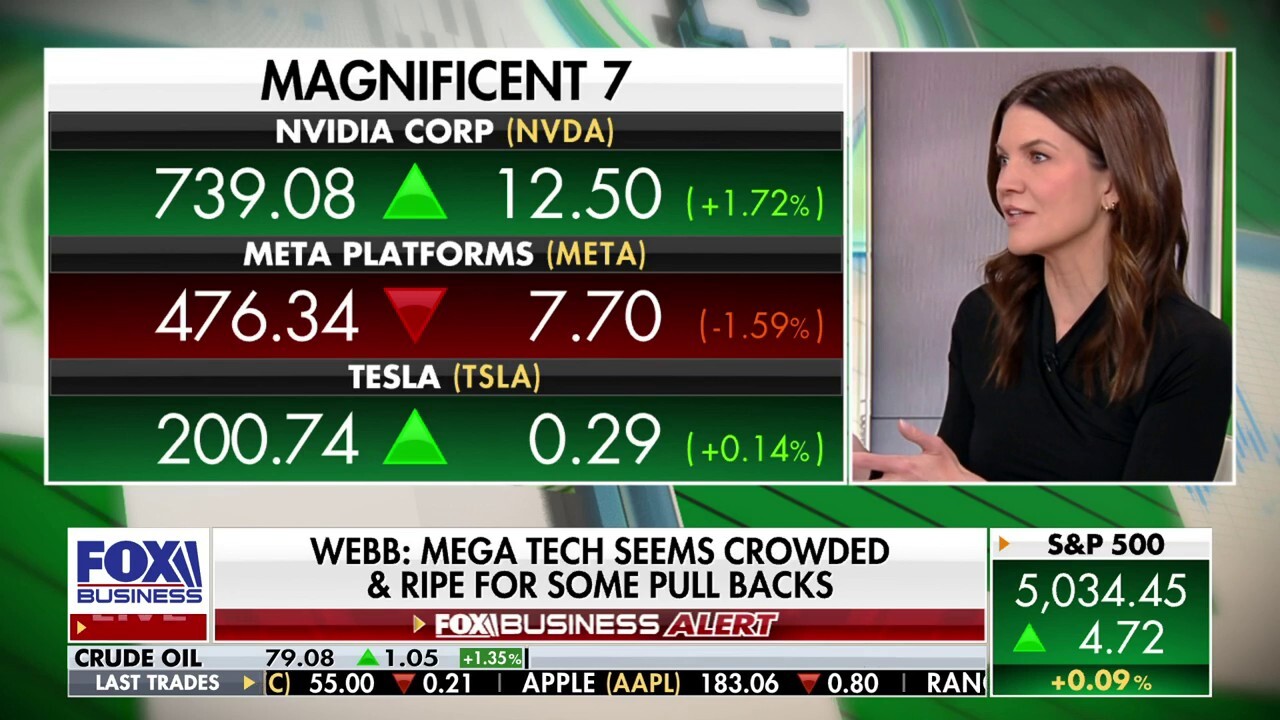 Mega tech seems crowded, ripe for a pullback: Nicole Webb