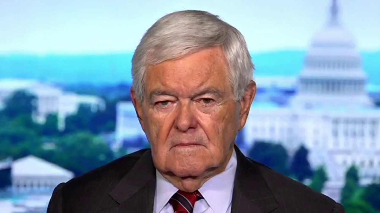 No question Trump is running against the whole machine: Newt Gingrich