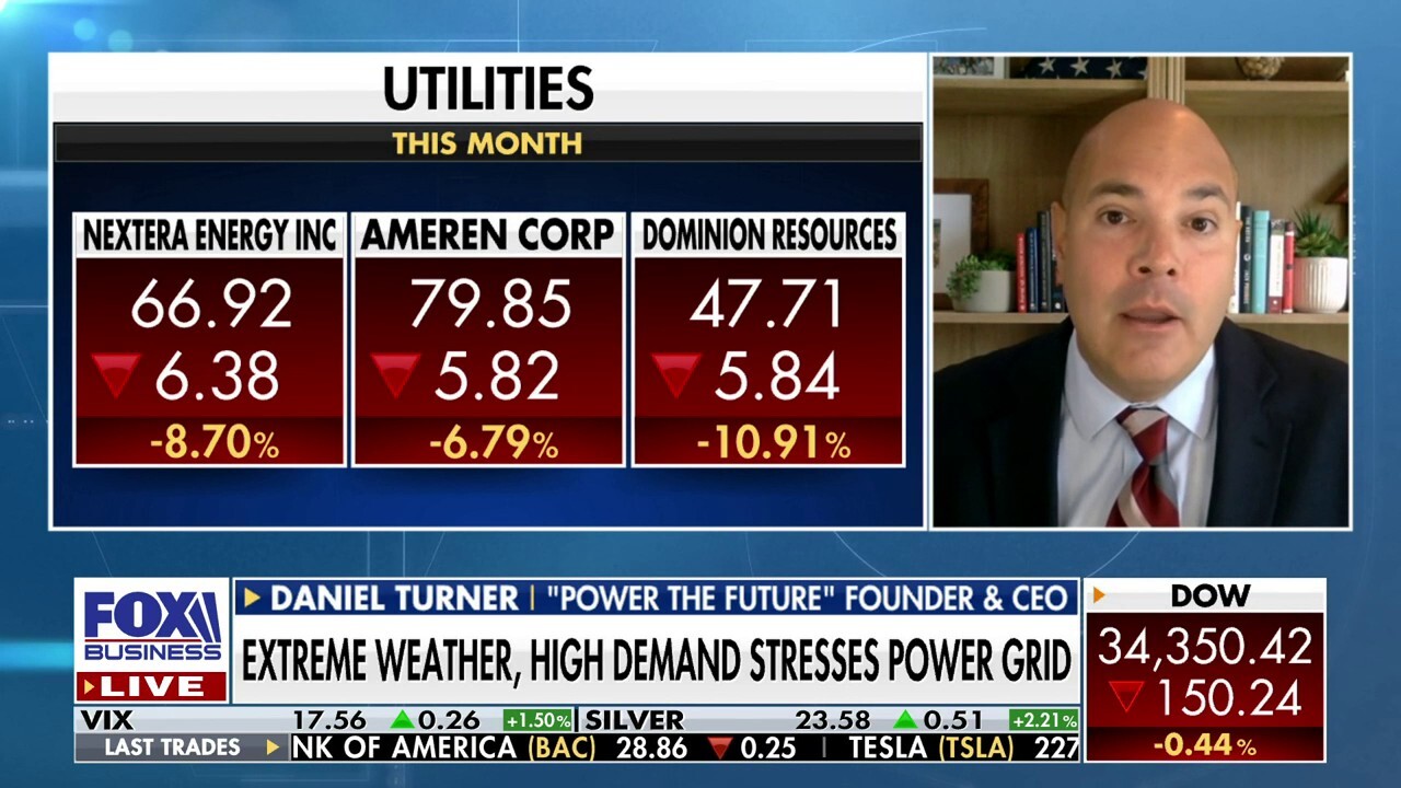 Woke lawmakers are putting utility companies in a bind: Daniel Turner