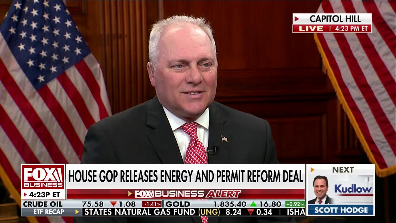 Rep. Steve Scalise, R.-La., calls out President Joe Biden's war on fossil fuels and explains the impact it has on Americans on 'Kudlow.'