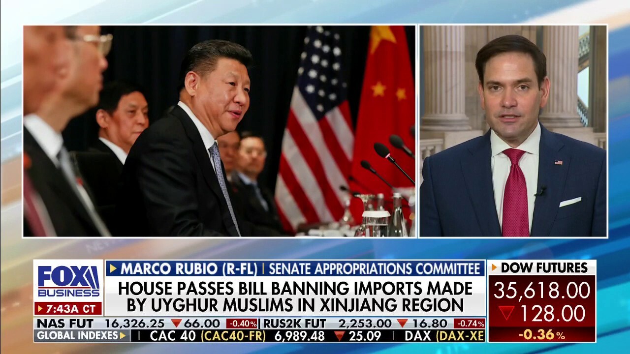 Sen. Marco Rubio, R-Fla., criticizes political and business figures who are dependent on Chinese profits and advocate for certain policies.