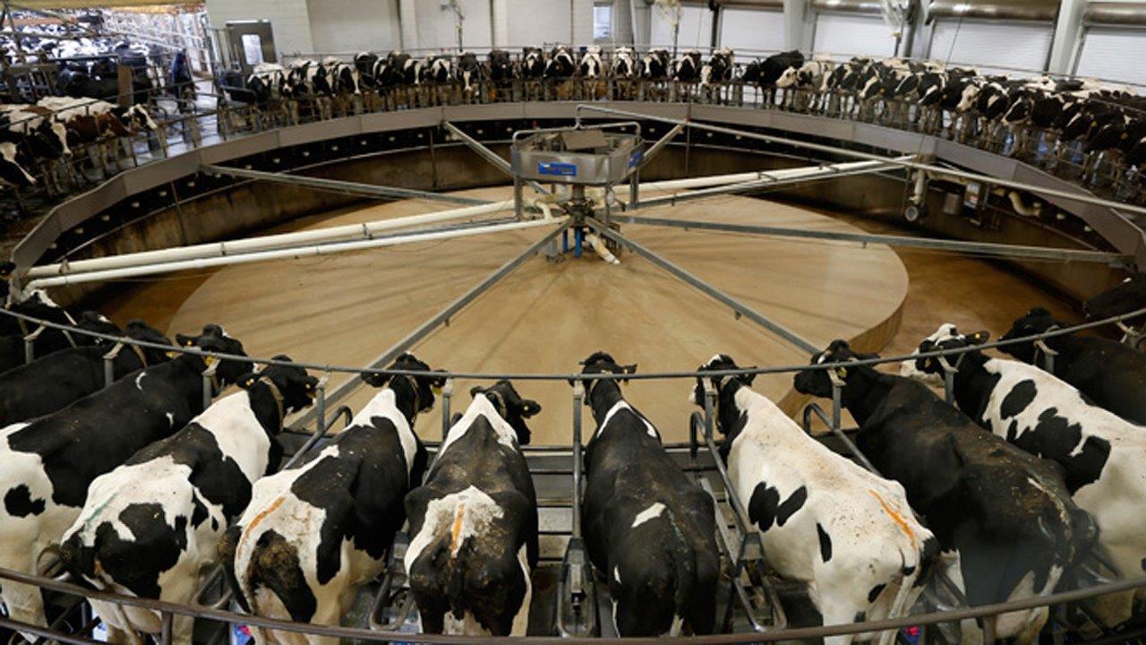 Canada starting trade war over milk?