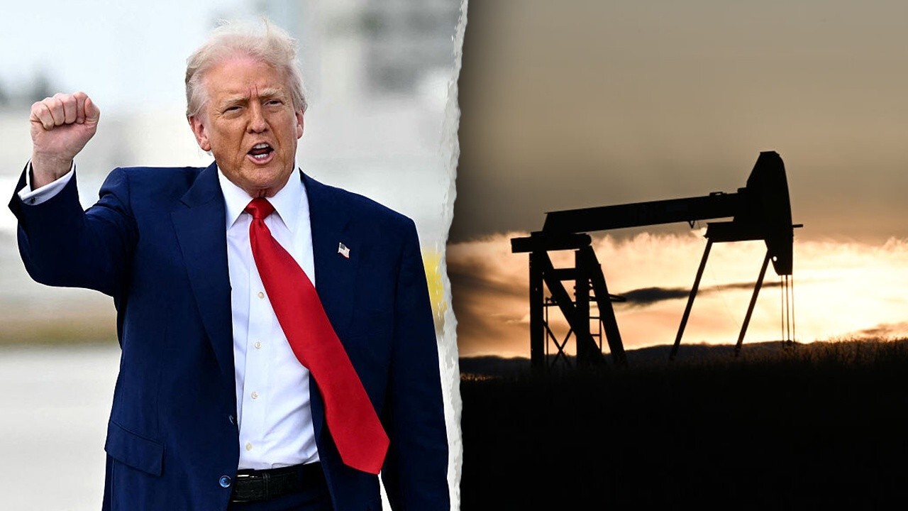 Former EPA chief of staff Mandy Gunasekara discusses President Donald Trump's energy agenda and his pursuit of a new natural gas project on 'Varney & Co.'