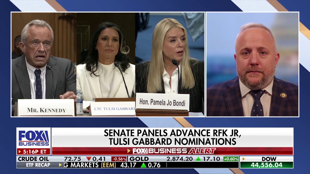 Trump nominees made it past 'biggest litmus test,' GOP congressman says