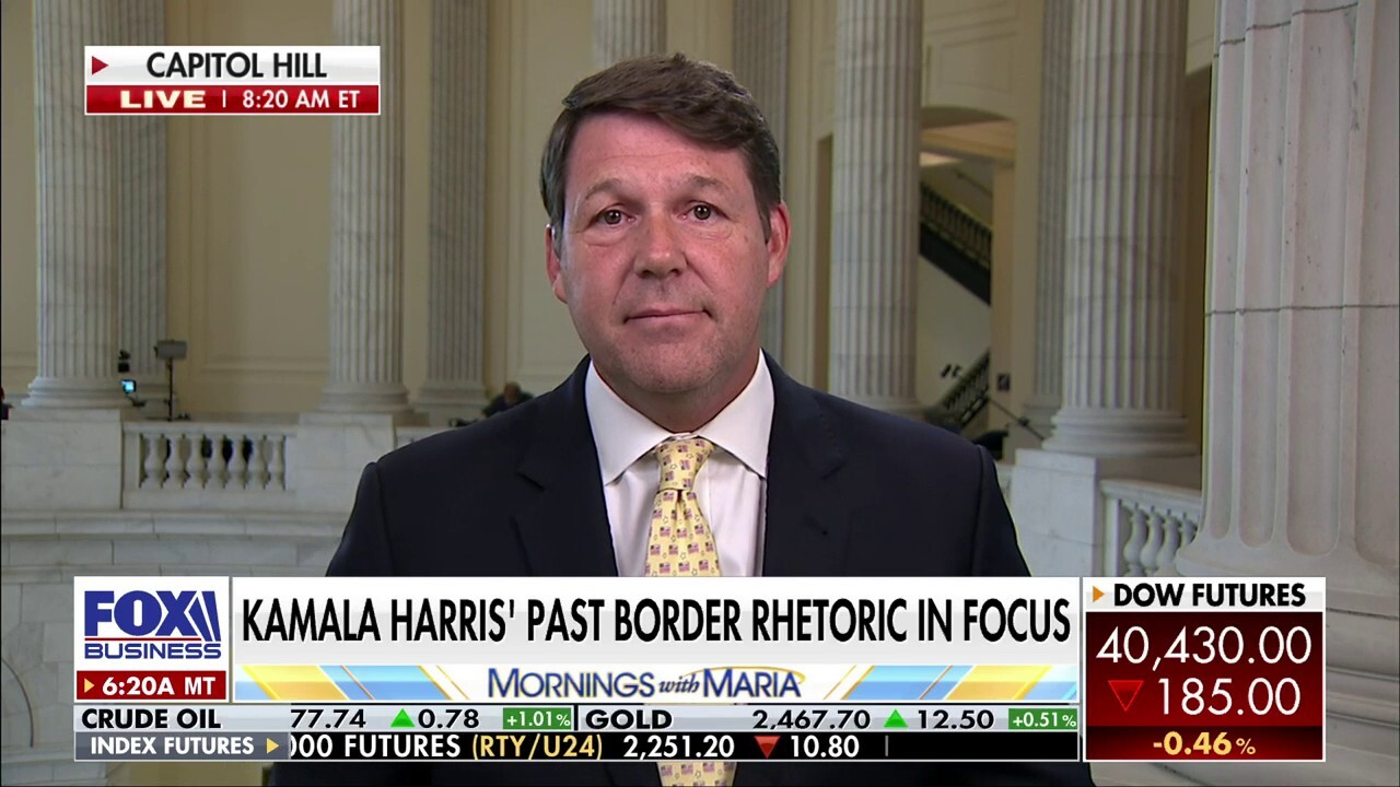 Rep. Jodey Arrington, R-Texas, discusses Kamala Harris' border strategy and her economic platform on 'Mornings with Maria.'