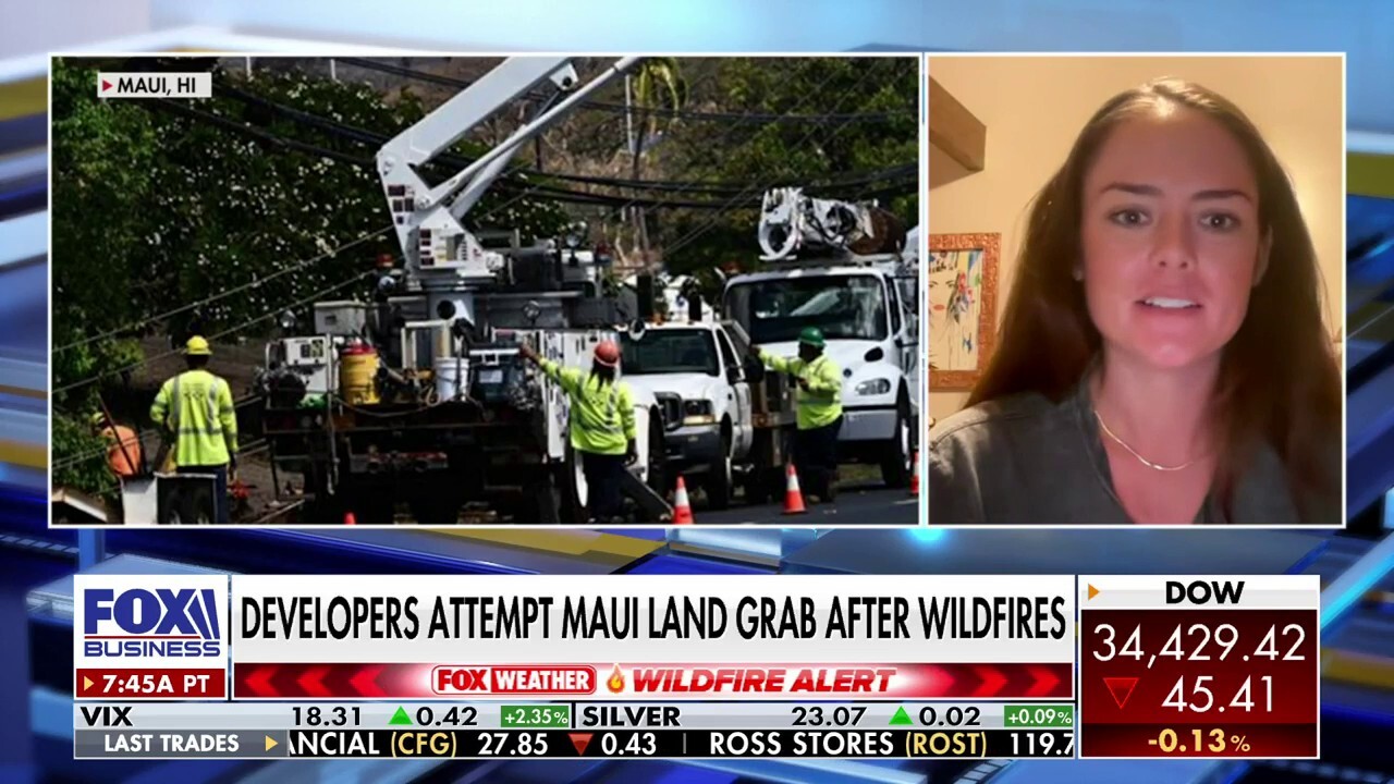 Lahaina resident calls for a ‘halt’ on land grabs following Hawaii wildfires