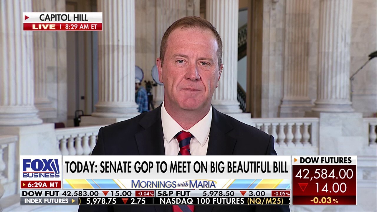 GOP senator says there's an 'appetite for more spending reductions' on 'big beautiful bill'