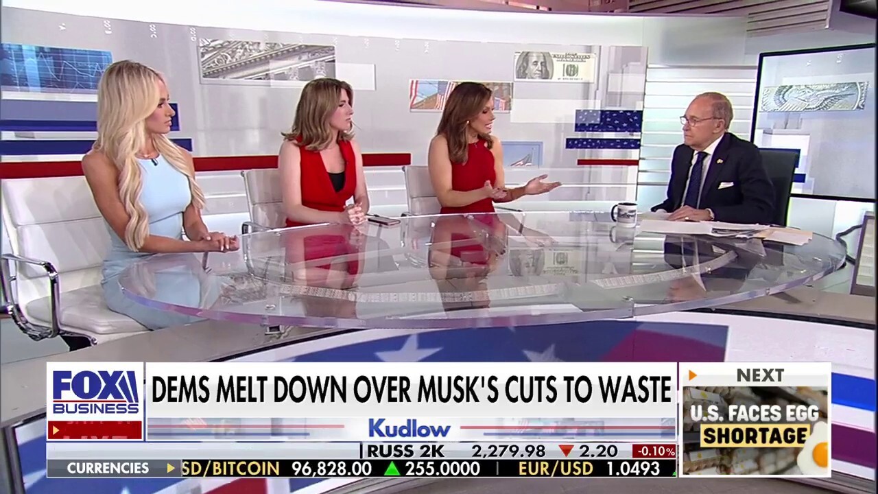 Democrats continue to panic over alleged ‘constitutional crisis’ caused by DOGE