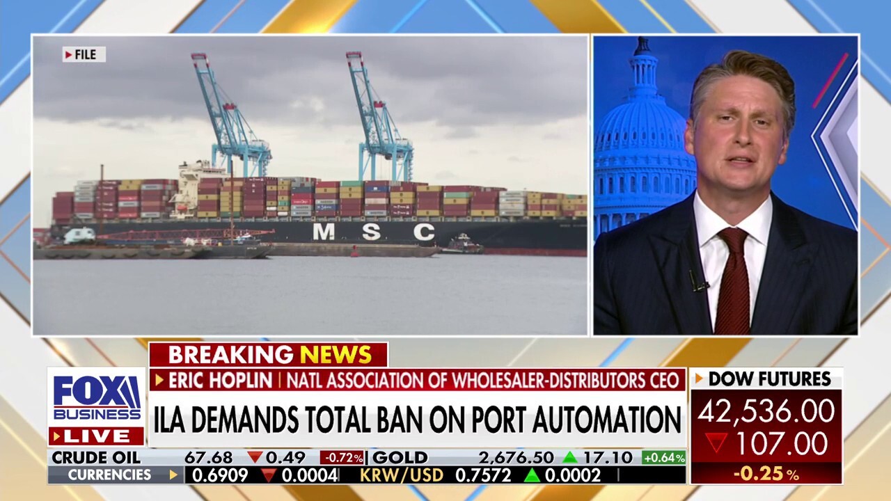 NAW CEO warns ban on port automation would 'lock America back into stone age for another 6 years'