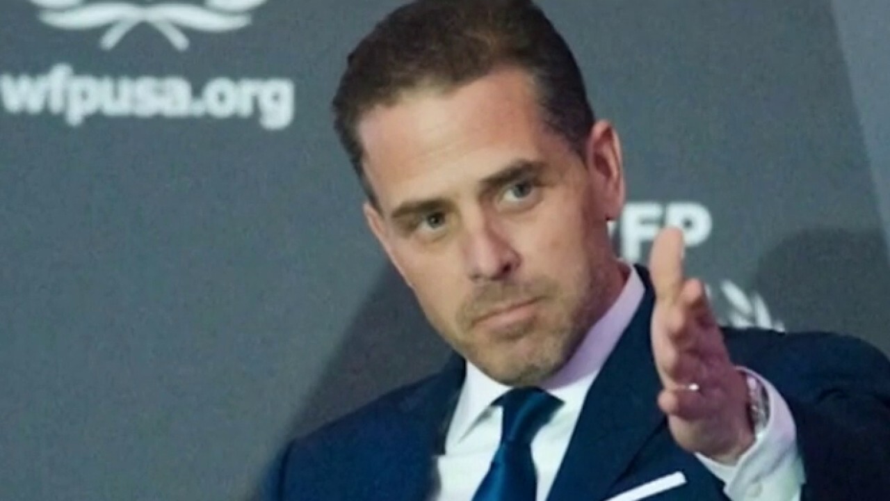 Mollie Hemingway: Hunter Biden is the most protected person in America