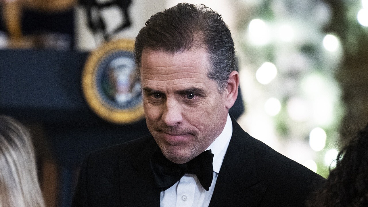 Hunter Biden investigations loom over Biden's re-election bid: Bill Hemmer 