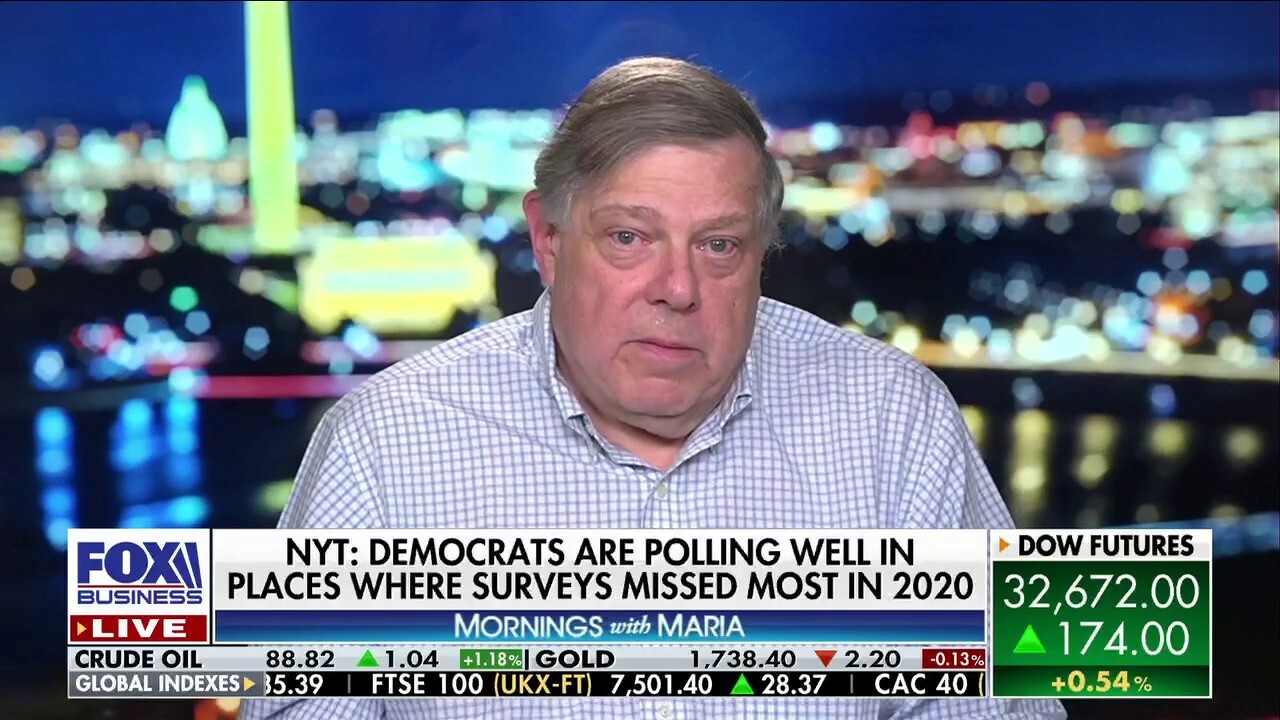 Former Clinton adviser: Midterms will see 'higher turnout' than expected