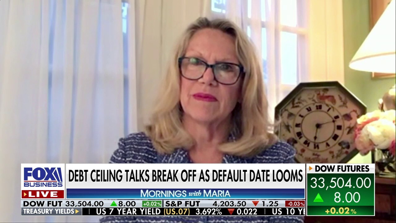Rep. Carol Miller on debt ceiling negotiations: 'Nobody wants the government in their pocket all the time'