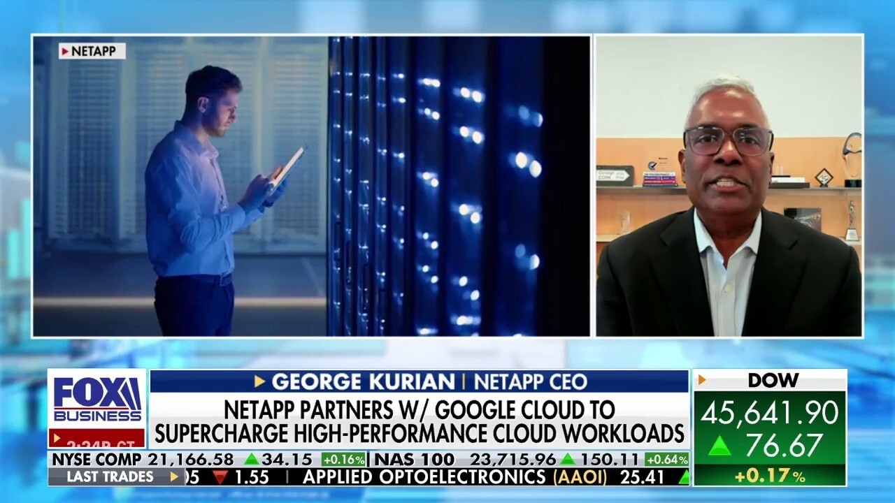 NetApp CEO George Kurian teases the company's partnership with Google Cloud and describes its data management capabilities on 'The Claman Countdown.'