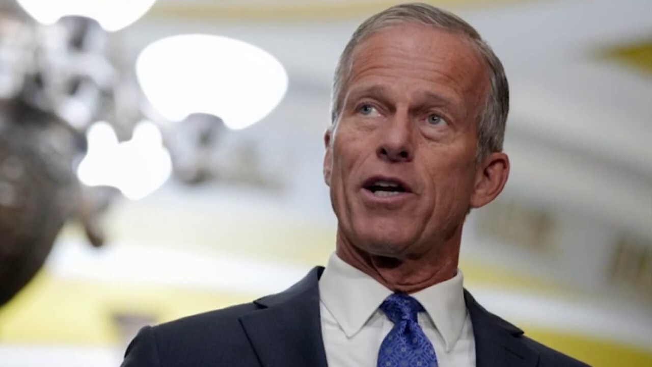 Sen. Tommy Tuberville, R-Ala., says Senate Republicans have a 'mandate' from the American people after Sen. John Thune, R-S.D., is voted as majority leader on 'The Evening Edit.'