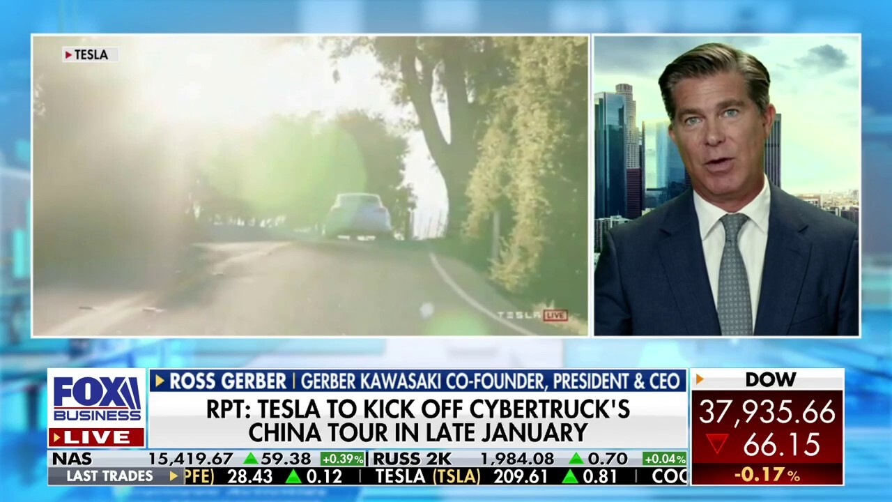Gerber Kawasaki president and CEO Ross Gerber breaks down Tesla EV demand on 'The Claman Countdown.'
