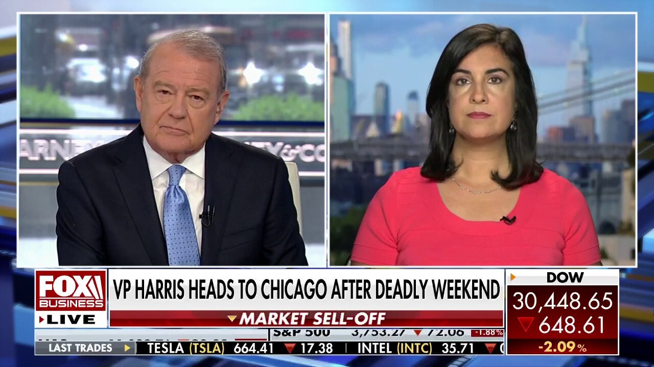 Rep. Nicole Malliotakis, R-NY, calls out woke politicians and Vice President Harris for encouraging lawlessness at the border, in U.S. cities. 