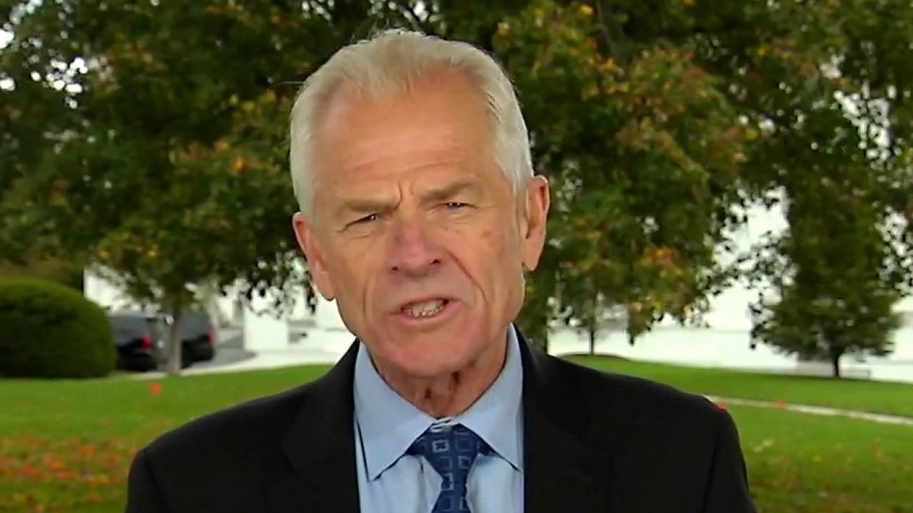 Navarro: Trump wins second term if election is about economy
