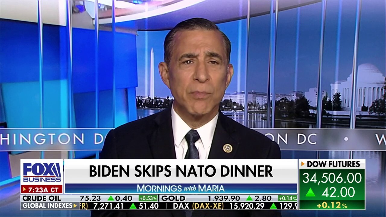 NATO has 'never been more relevant than it is right now': Rep. Darrell Issa
