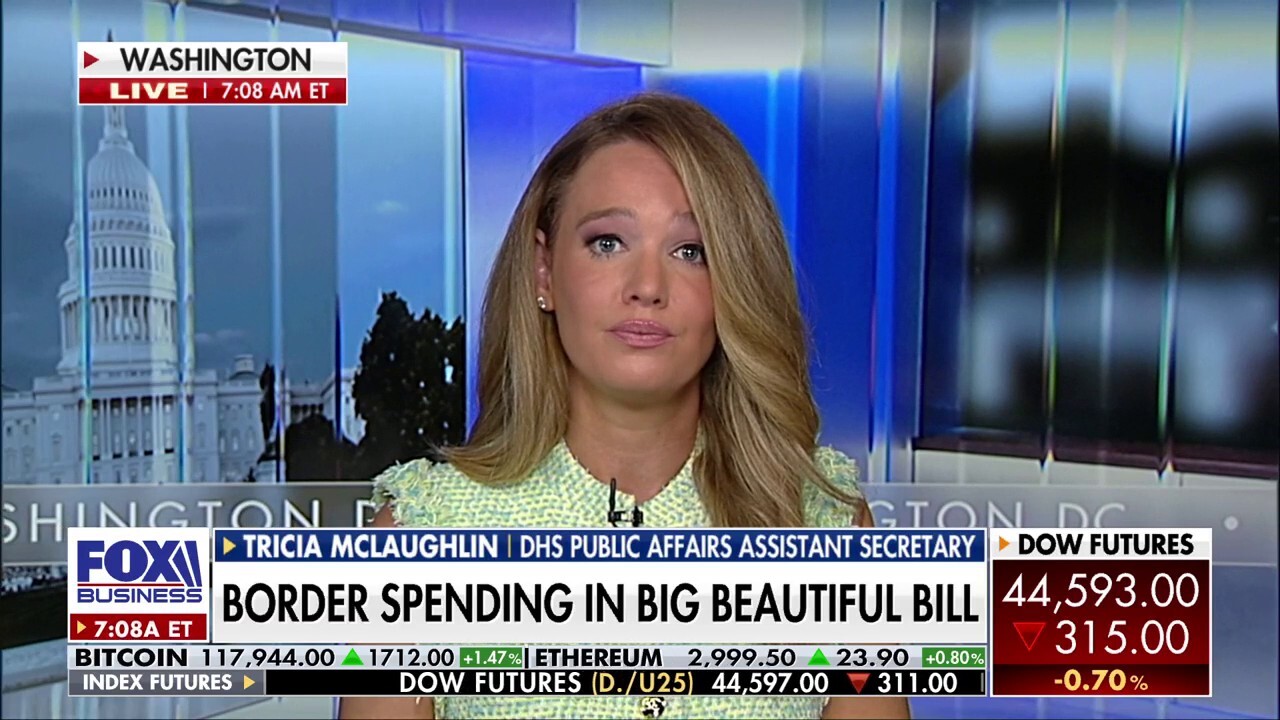 DHS Public Affairs' McLaughlin calls out Democrat politicians for ‘vilifying’ ICE agents 