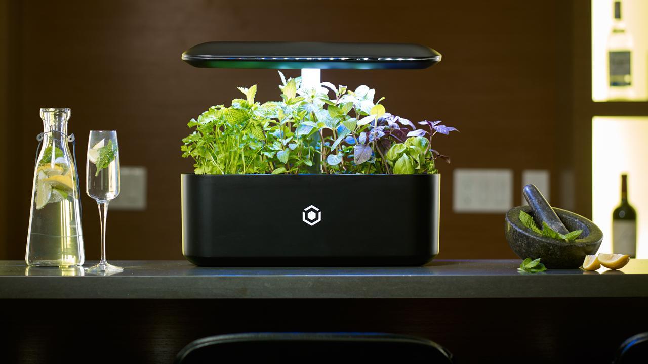 The smart garden of the future 