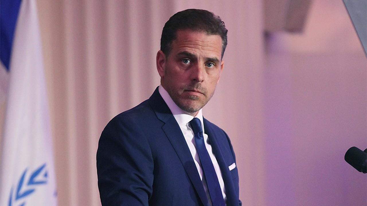 What were Hunter Biden's business partners trying to influence?