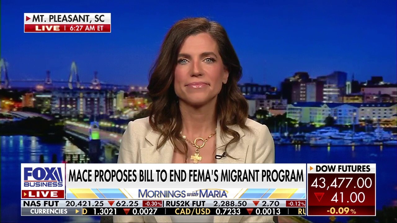 South Carolina rep wants to end FEMA migrant funding: 'The very least we can do for our very own American citizens'