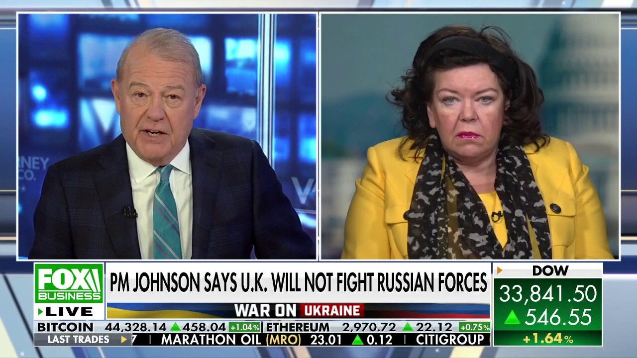 Russia's aggression 'hasn’t been seen’ since World War II: UK ambassador to the US