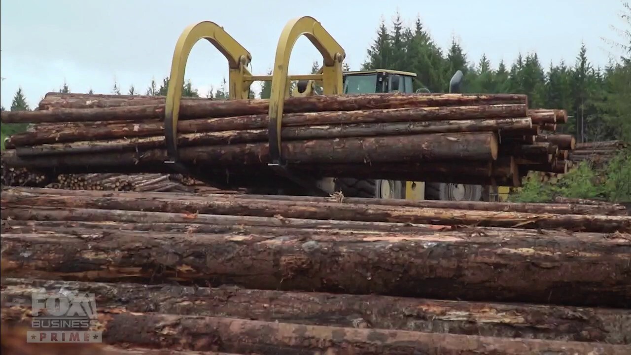 The grit and dedication in lumber production 